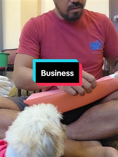 Raniel Tiglao Dog Bed: Rescue Dog Blessing