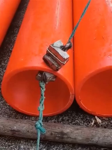 Video của ideas_fox (@ideas_fox) với bản nhạc Life For Cat - SAEFUL RIZKI