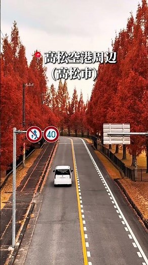【香川紅葉】香川県のおすすめ紅葉🍁スポット✨🍁