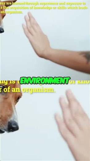 Animal Behavior: Learn How Animals Acquire Survival Skills! #shorts