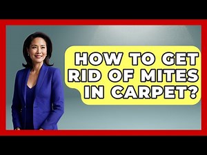 How To Get Rid Of Mites In Carpet? - Insects and Invaders