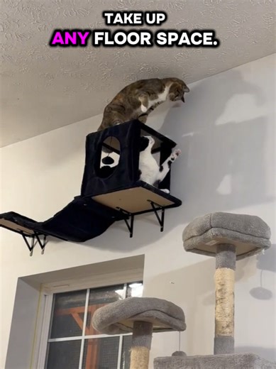 Maximize Your Cat's Playtime with Wall Shelves
