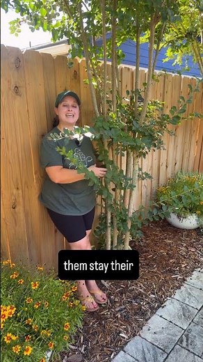 Try this for your crepe myrtle!