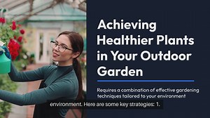 Best Outdoor Gardening Techniques for Healthier Plants