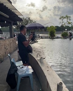 Gills Fishing on Reels