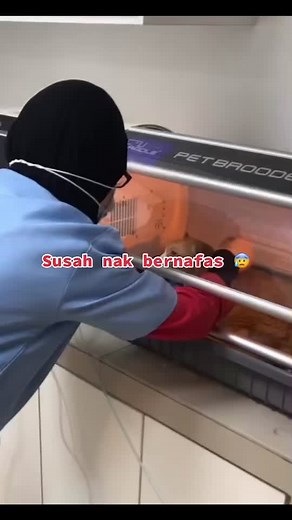 #ivetpetcare #ivet #vet #petlover #animals #kucing #cats #catlover