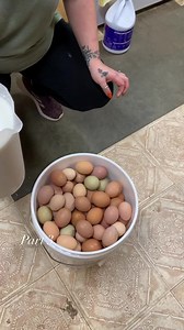 Water glassing fresh eggs #farmlife #waterglassingeggs #fresheggs #farmraised #farmfresh | Jamie Helton