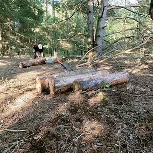 Lonely camping on an island, solo shelter, fishing, overnight stay | Bushcraft WORLD