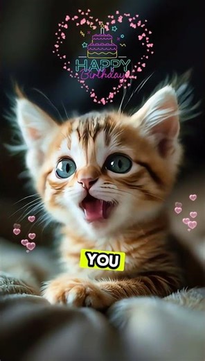 Cutest KITTEN sings Happy Birthday to you and your Friends!