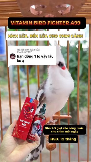 Trả lời @thanhha1907 hạn sử dụng 12 tháng nha anh em #xuhuong #trending #fyp #chimcanhvietnam #chimchaomao #nuoichimcanh #kichluachaomao