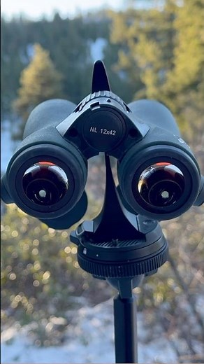 Understanding Field of View: What You Need to Know
