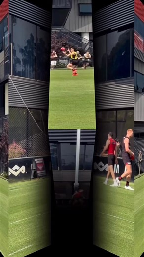 Bomber Banter | Our Spine | At least for round 1 & the first part of season ‘26 What do all 5 of these guys have in common? … every single one of them... | Instagram