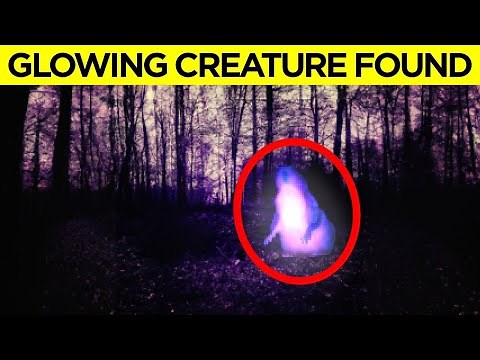 When The Most Amazing Discoveries Happened By Accident