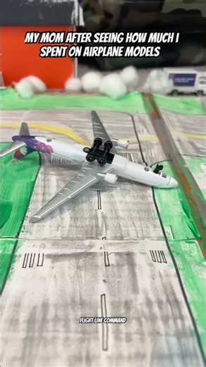 Please Go Viral🙏 #aviation #memes #modelplanes #comedy #airplane #modelairport #funny #money #plen