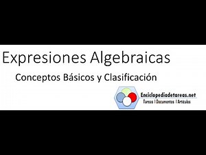 Algebraic Expressions - Basic Concepts