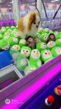 Part 5 – The Ultimate Puppy & Bibi Claw Machine – Full Neon Chaos with Kewpie & Littles 😱💚