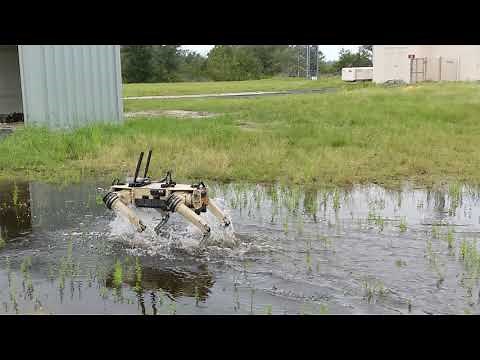 Vision 60 Swamp Dog Q-UGV: Tyndall AFB 24x7 Perimeter Autonomous Patrol