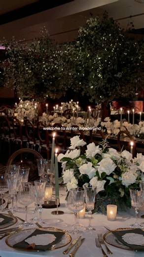 Iconic Winter Wedding Reception Highlights