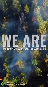 209K views · 53 reactions | Have you seen our new PSA spots?  Watch...