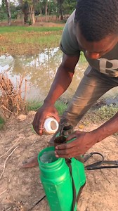 814K views · 10K reactions | The first stage of rice farming | Humble Cruise | Facebook