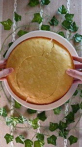 me sharing the latest meme via cake🗣️🗣️🗣️ #skeleton #skyrim #meme #cake #bakingthursdays | Baking Thursdays