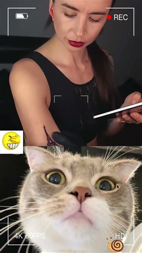 This is so funny, l couldn't stop laughing #funny #funnyvideos#duet #foryou #pov #viral