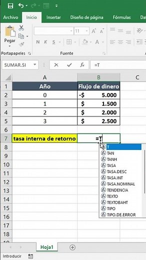 How to calculate the return on investment in Excel (IRR function) #excel #exceltips #viral