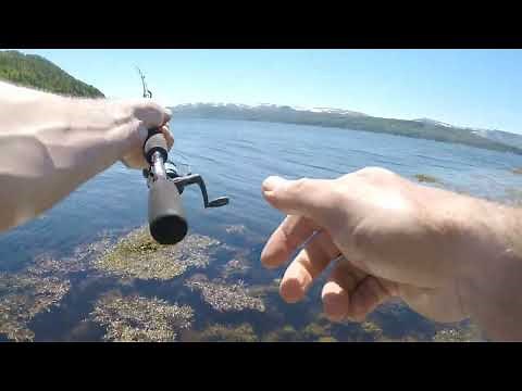 Sea Trout fishing in Newfoundland