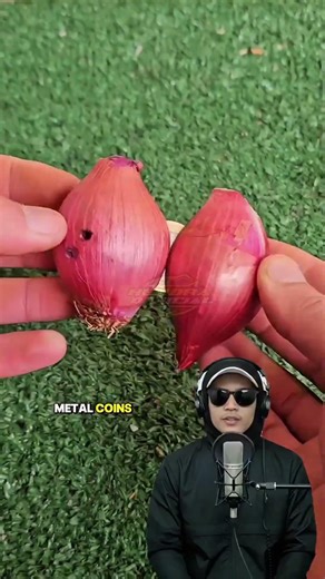 Creative idea for a cell phone battery charger from shallots