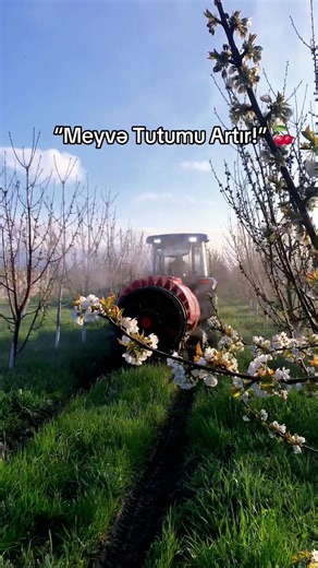 Cherry Orchard Foliar Feeding: Improve Fruit Set