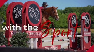 Dura-Tech Shaped Girth for Horses with Gel | Size 46 | Optimal Horse Comfort Shaped Girth with Gel | Perfect Stable Essential