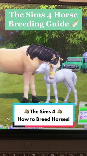 The Sims 4 Horse Breeding Overview! 🍼🐴 #fyp #foryou #sims4 #sims4horseranch #horseranch #sims4horse #simtok #simsbaby #tutorial #gameplay #thesims