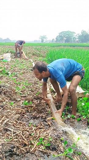 সেই ফনি, #viralreel #comedy #funnyreels #followers #foryou | Md Mobin Mia