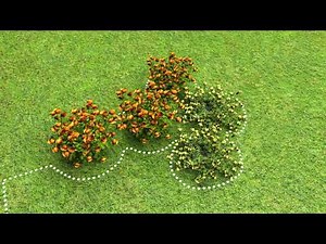 Hoe Husqvarna Automower® installeren