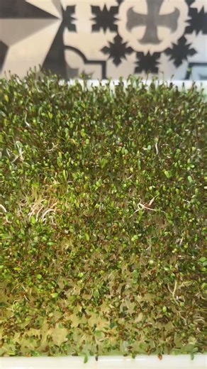 Francisco Durán on Instagram