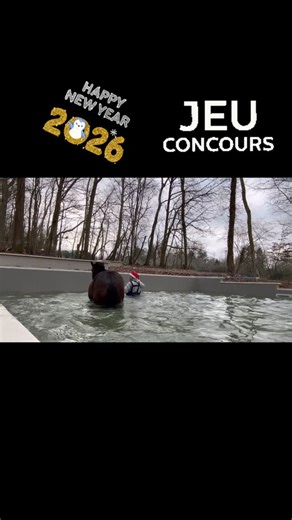 HIPP’OASIS on Instagram: "🎁✨ LE GRAND FINAL – JEU CONCOURS HIPP’OASIS ✨🎁 Ce jeu est le dernier de la longue série de Noël et de Nouvel An 🎄✨ Et pour marquer le coup… j’avais envie de faire les choses en grand 💙 🐴💧 Je vous propose un jeu-concours basé sur un test de connaissances autour d’Hipp’Oasis et de la balnéothérapie équine. 🎁 À gagner : 3 belles séances de balnéothérapie équine Pourquoi 3 ? Parce que c’est mon chiffre. Parce que je l’adore. Et surtout parce que ça permet à plus de m