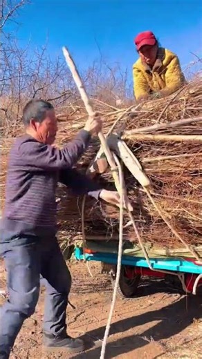 The craft of bundling straw with angle sticks and angle cones