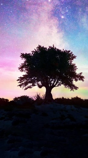 Barry Biggs - A Night Like This | Reggae Lyrics & Music