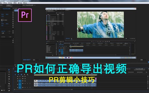 【PR教程】PR如何导出视频