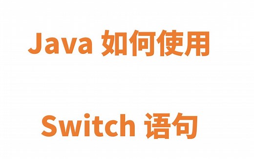 Java Switch语句