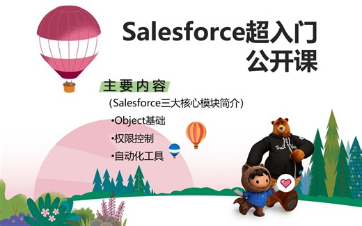 Salesforce超入门公开课-Object基础02