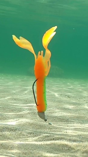 freshbaitz on TikTok