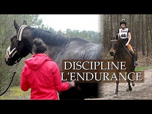 L'ENDURANCE - Explications de la discipline