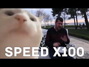 Cat Vibing To Ievan Polkka - Speed 100X