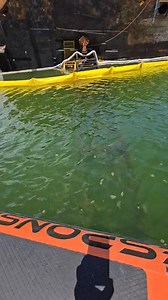 40K views · 374 reactions | Fast Response Marine Towing & Salvage on Reels | Facebook