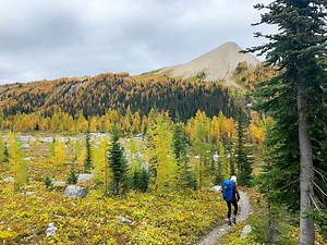 25 Must Do Activities in Kootenay National Park
