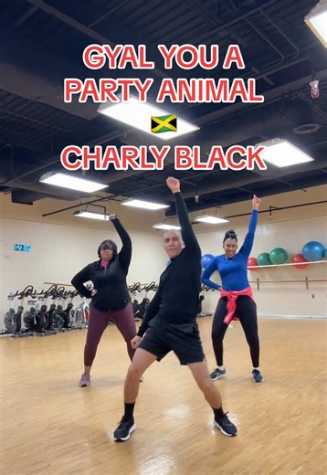 Gyal You a Party Animal by Charly Black