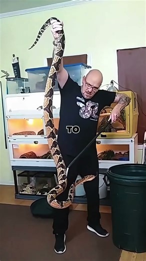 I Grabbed an 11-Foot Bushmaster Snake in the Jungle
