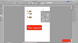 Flex Layout in InDesign 2026