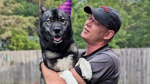 It's somebody's birthday! It's snow dog dad's birthday! Today we are having a little birthday party, then hanging out with the dogs, and then off for a ride on the ebikes! | Snow Dogs Vlogs